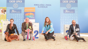 caciblipica2016dan2-16