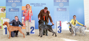 caciblipica2016dan2-19