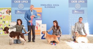 caciblipica2016dan2-20