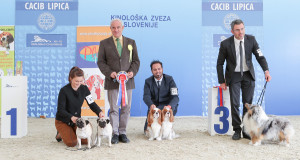 caciblipica2016dan2-9