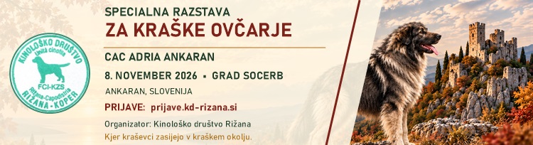 Specialna-razstava-kraskih-ovcarjev-banner